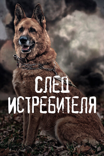 След Истребителя (2015) постер