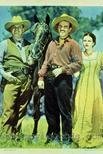 The Roundup (1941) постер