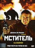 Мститель (2001) постер